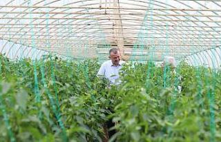 Başkan Büyükakın: “Yıl sonuna kadar tarıma...