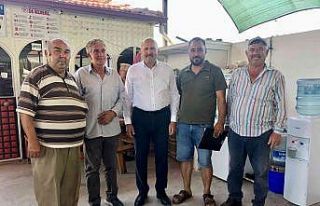 Başkan Ertürk: "En kaliteli incirin yetiştiği...