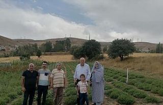 Başkan Pekmezci, üretim bahçelerinde incelemelerde...