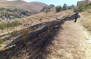 Bayburt’ta çıkan yangında 10 dekarlık alan küle...