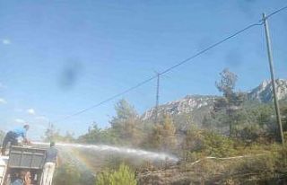 Bilecik’te 6 dönüm ormanlık alan kül oldu