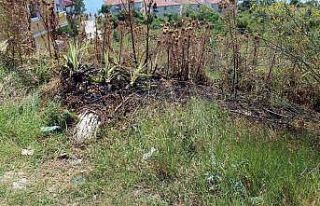 Binaların arasında çıkan ot yangını paniğe...