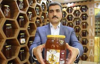 Bingöl balına İngiltere’de altın madalya