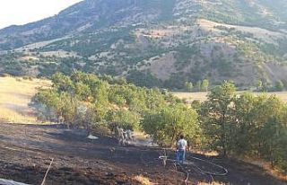 Bingöl’de otluk alanda çıkan yangın büyümeden...