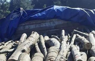 Bir kamyon dolusu kaçak odun ele geçirildi