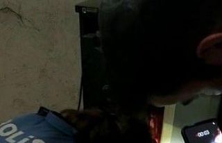 Bodrum katında mahsur kalan kediyi polis ekipleri...