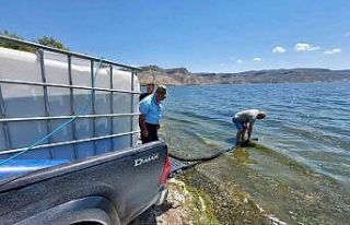 Bolu’da üretilen balıklar Ankara’nın göllerine...