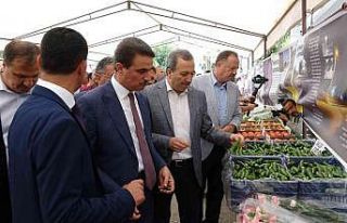 Bu köyün göç problemi yok