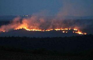 Bulgaristan’daki yangın Edirne’nin sınır köylerine...