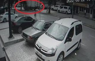 Bursa’da 70 yıllık tarihi çınar kamyonun çarpmasıyla...