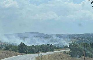 Bursa’da orman yangını kontrol altına alındı