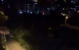 Bursa’da polis şehir merkezine inen domuzu sirenle...