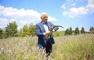 Büyükşehir hem üretiyor, hem işliyor