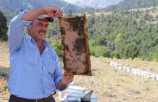 Büyükşehir Serikli arıcıların yüzünü güldürdü