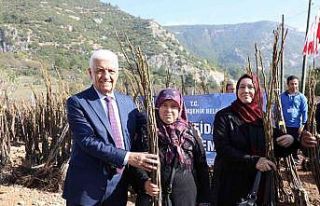 Büyükşehirden fidan ve tohum desteği