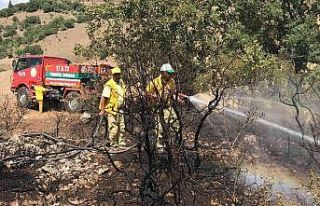 Çanakkale’de çıkan yangın ormanlık alana sıçramadan...