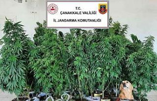 Çanakkale’de uyuşturucu operasyonları: 7 gözaltı