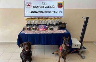 Çankırı’da uyuşturucu operasyonu: 2 tutuklama
