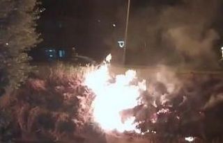 Çayırlık alanda çıkan yangın büyümeden söndürüldü