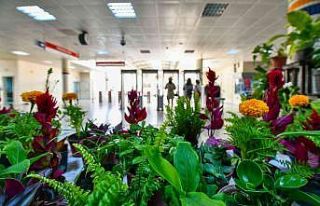 ‘Çiçek Takası’ uygulamasının adresi bu kez...