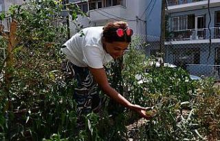 Çiğli’de dar gelirli aileler için kent bostanları...