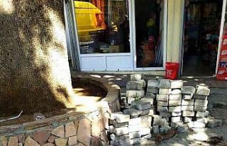 Çınar ağacının kökleri toprakla kapatıldı