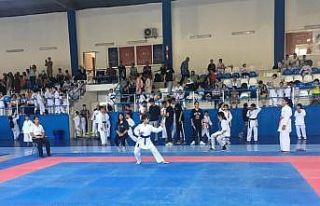 Çocuk evlerinde kalan çocuklar karate turnuvasından...