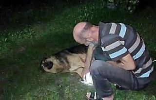 Çocukların gözü önünde köpeği vurdu