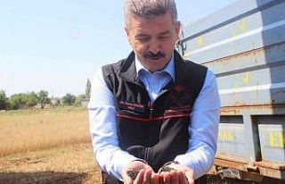 Çörek otu tohumu ihracatı Uşak’a 1 milyon dolar...