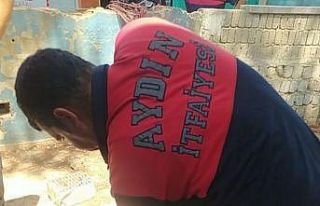 Çukura düşen yavruları, itfaiye kurtardı