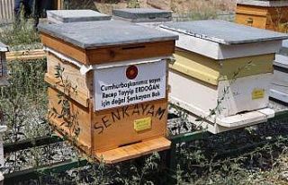 Cumhurbaşkanı için doğal ‘Şenkayam Balı’...