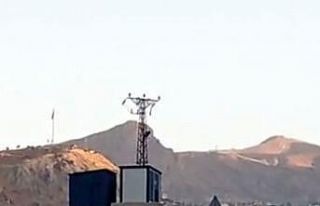 Dağ keçileri kent merkezinde görüntülendi