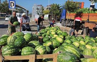 Dayanışma kampanyasında 400 ton karpuz vatandaşa...