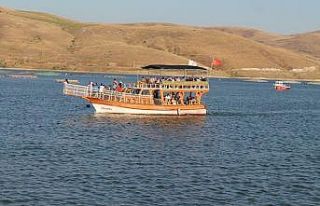 Demirözü’ndeki piknik alanı doldu taştı gurbetçilerden...