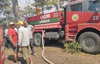 Denizli’de korkutan yangın