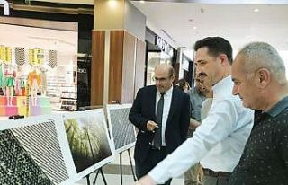 Dereceye giren fotoğraflar görücüye çıktı