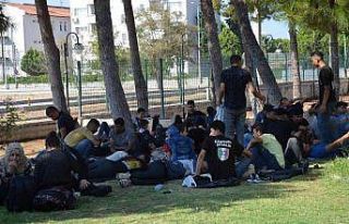 Didim’de 97 göçmen kamyonet kasasında yakalandı