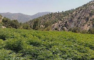 Diyarbakır’da terörün finansman kaynağı "ablukaya"...