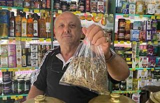 Doğal yollardan zayıflamak için aktarlara ilgi...