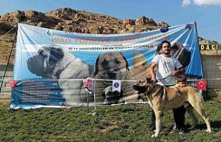 "Dozer" isimli köpeğiyle katıldığı...
