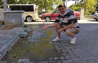 Dünya su kıtlığını konuşurken Tekirdağ’da...