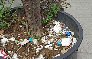 Duyarsız vatandaşlar bitki saksısını çöplük...