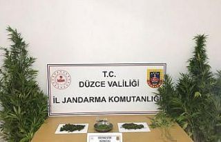 Düzce’de 51 şüpheli yakalandı