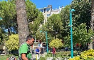 Edremit’te yeşil alanlara bakım