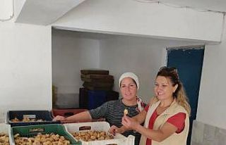 Efeler’de incir depoları denetimi başladı