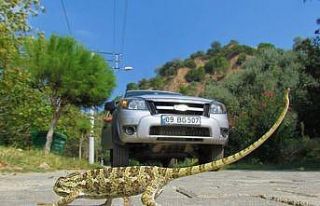 EKODOSD’tan sürücülere “duyarlılık” çağrısı