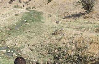 Elazığ’da ilaçlama çalışmaları sürüyor