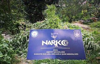 Emniyetten uyuşturucu operasyonu: 1 kişi tutuklandı