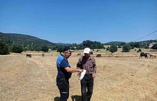 En büyük mutluluğu gazete ve dergiler