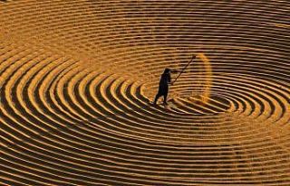 En güzel hasat mevsimi fotoğrafları aranıyor